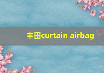 丰田curtain airbag